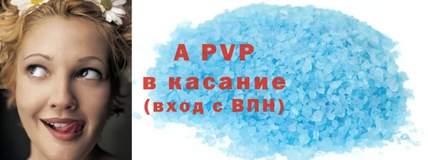 гашик Алексин