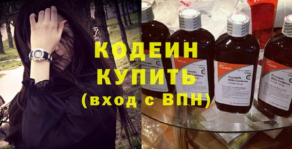 гашик Алексин