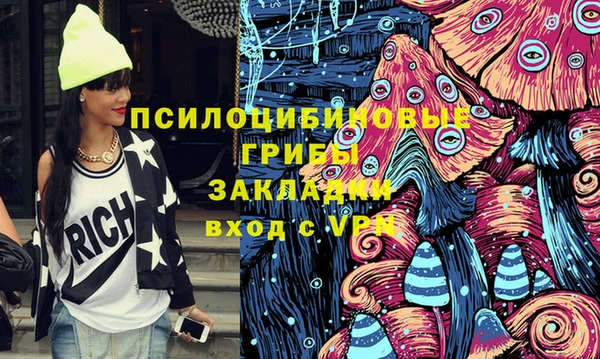 гашик Алексин
