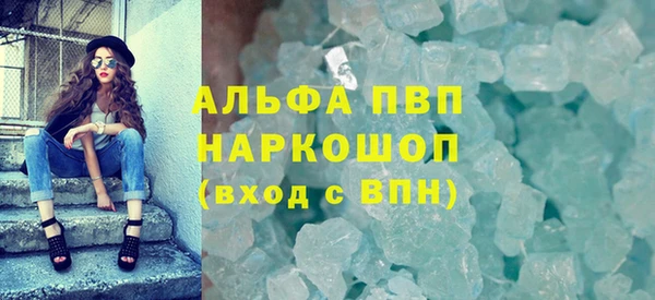 гашик Алексин