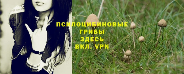 mix Алексеевка
