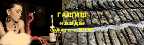 гашик Алексин
