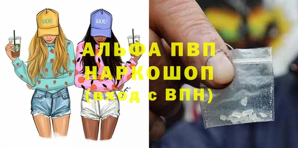 гашик Алексин