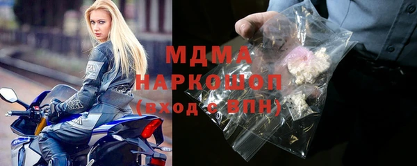 гашик Алексин