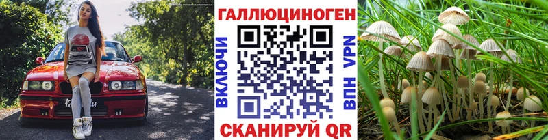хочу Островной Псилоцибиновые грибы ЛСД